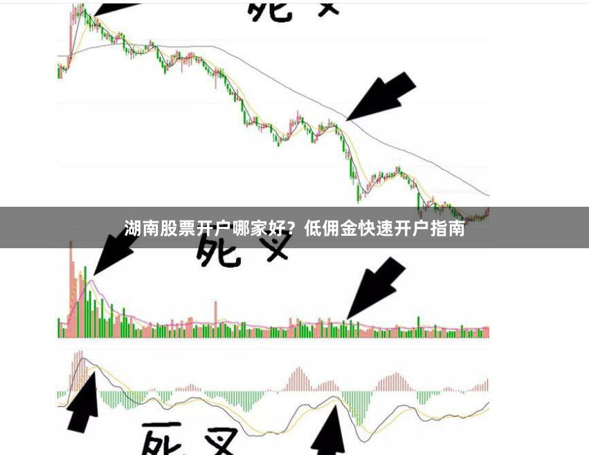 湖南股票开户哪家好？低佣金快速开户指南